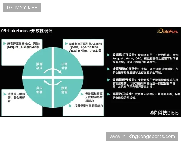 奥斯梅恩比赛表现与关键数据分析全面解析